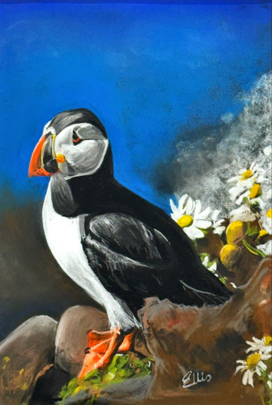 Filey Art Society - Ellis Booth - Daisy Puffin