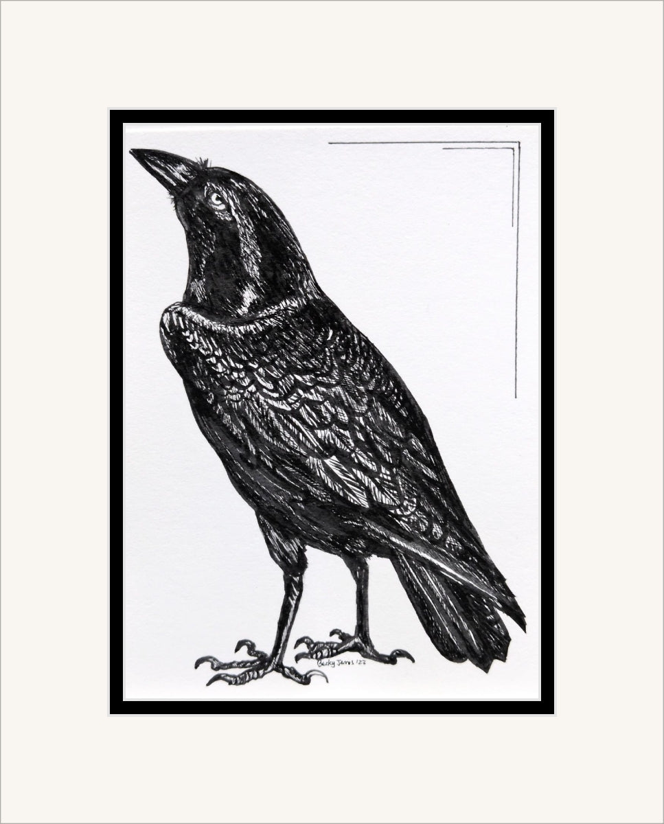 Becky James - Raven - Mounted Print