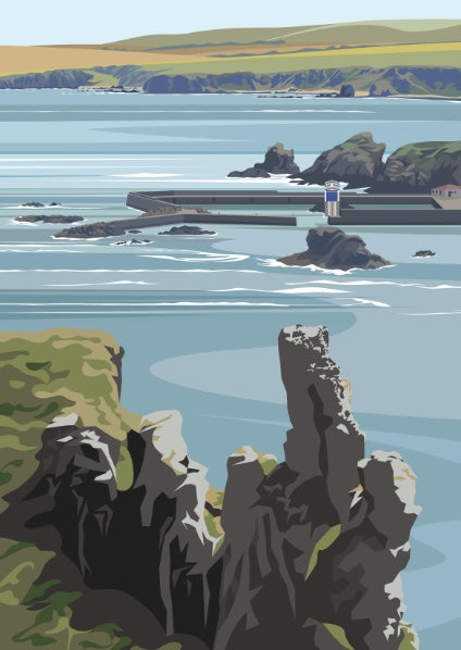 Ian Mitchell - St Abbs Harbour - Portrait