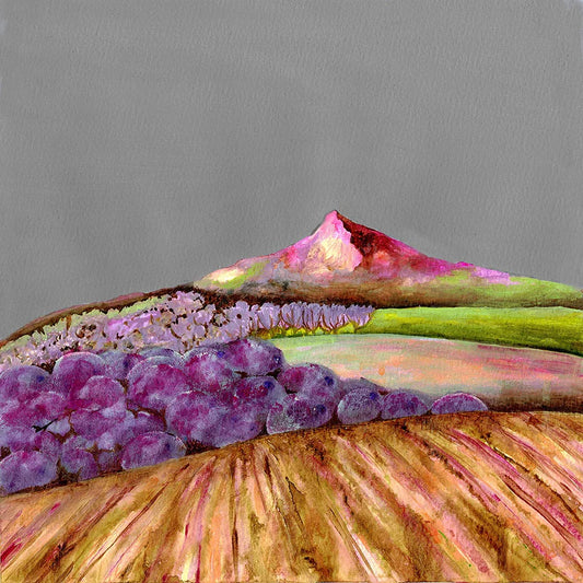 Bridget Wilkinson - Roseberry Topping