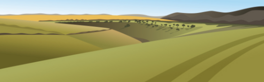 Ian Mitchell - Deepdale to Wharram Percy - Panoramic