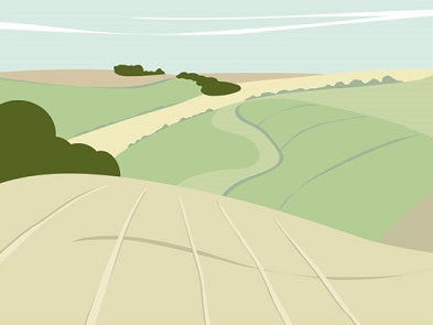 Ian Mitchell - Near Fridaythorpe - Landscape