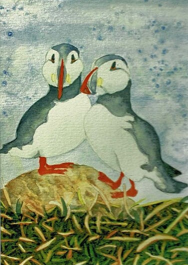 Jane Clarbour - Puffins