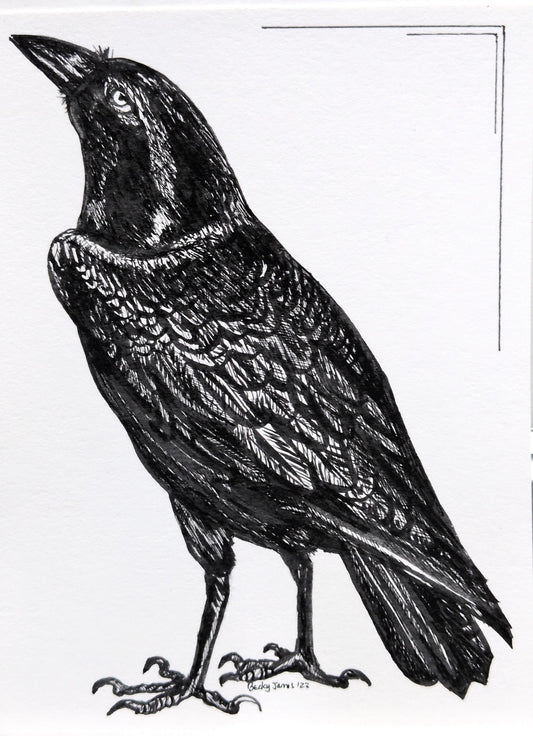 Becky James - Raven - Mounted Print