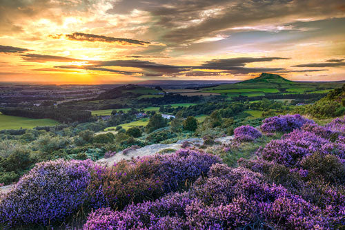 Andrew Smith - Cockshaw Hill / Roseberry Topping - Photographic Print