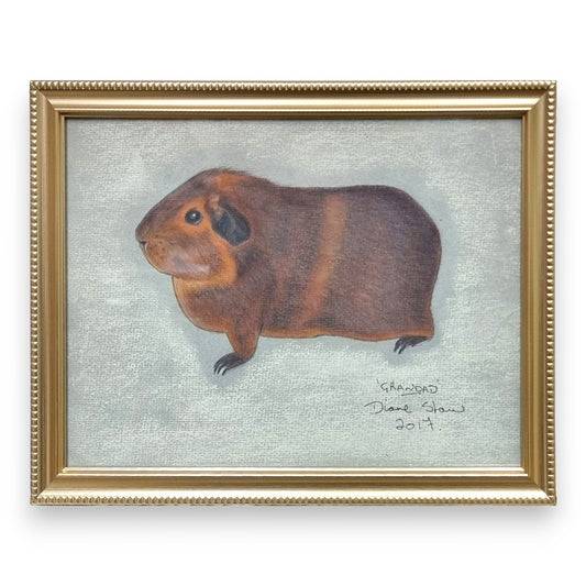 Filey Art Society - Diane Shaw - Grandad Agouti Guinea Pig