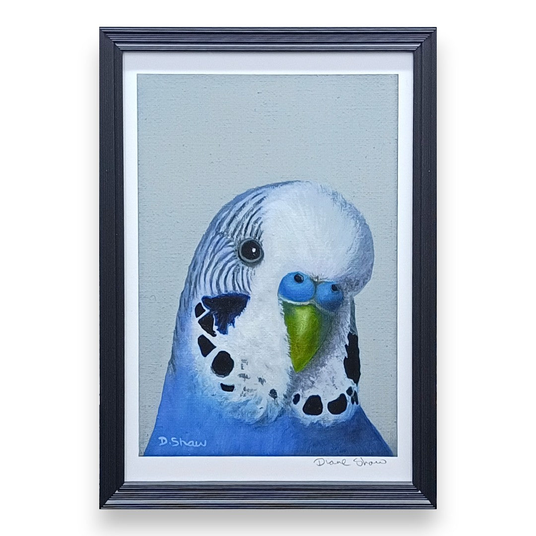 Filey Art Society - Diane Shaw - Pretty Boy