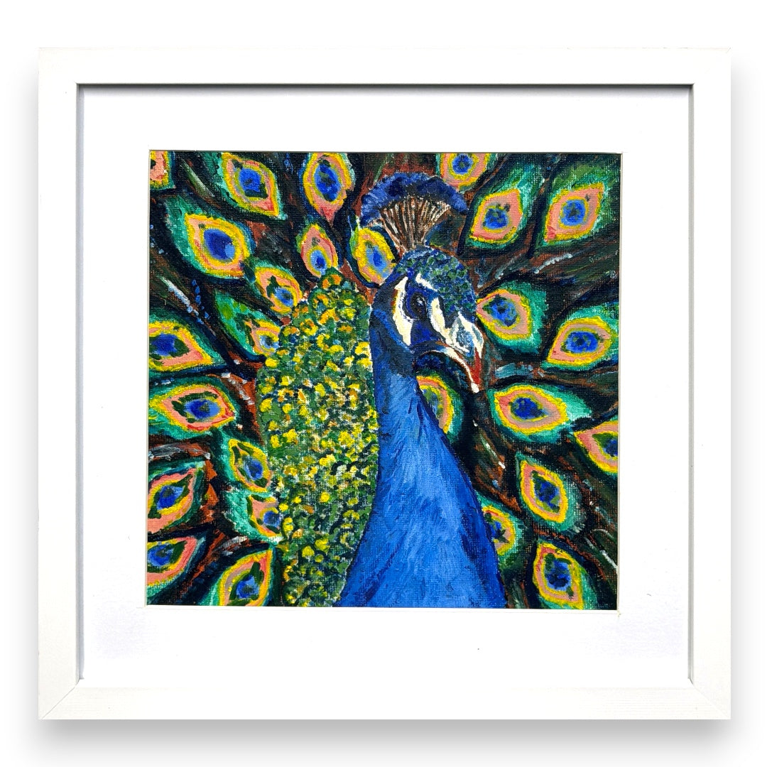 Filey Art Society - Elaine Peacock - Proud Peacock
