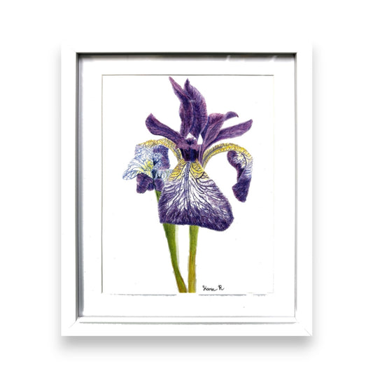 Filey Art Society - Karen Race - Lily in Bloom