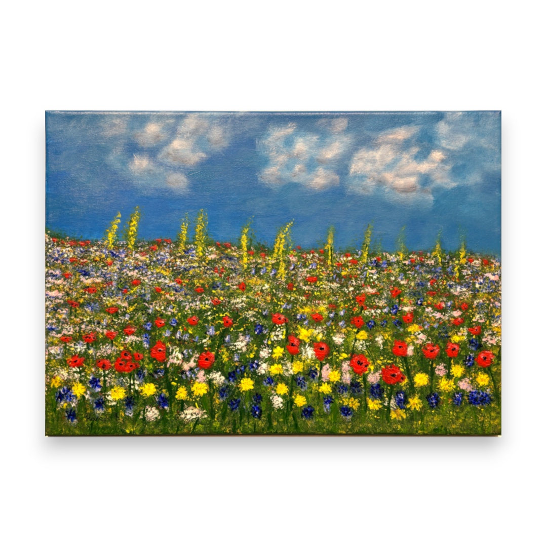 Filey Art Society - Karen Race - Wildflower Meadow