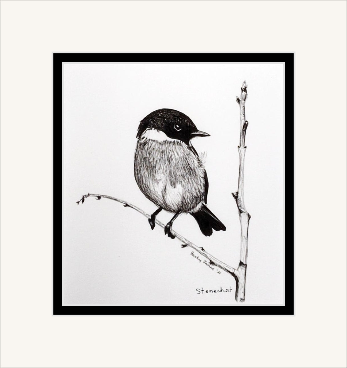 Becky James - Stonechat - Mounted Print